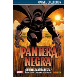 MARVEL COLECCTION Nº 1 ¿...