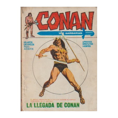 CONAN EL BARBARO VOL.1 Nº 1 ED.VERTICE : LA LLEGADA DE CONAN