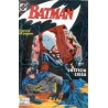BATMAN JUSTICIA CIEGA Nº 1 DE 3