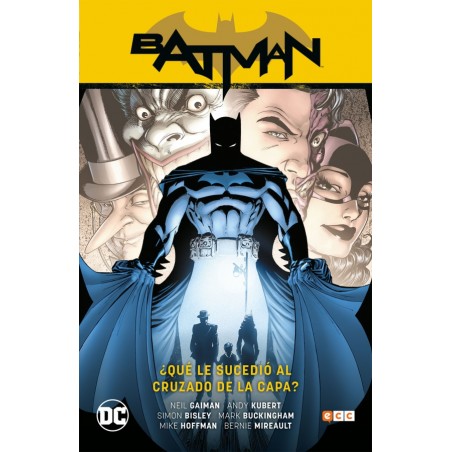 batman ¿ que le sucedio al cruzado de la capa ? por neil gaiman , BATMAN SAGA RIP PARTE 6