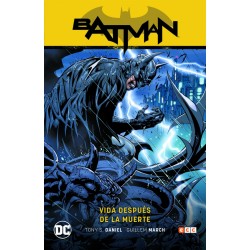 BATMAN : VIDA DESPUES DE LA...