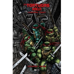 TORTUGAS NINJA LA SERIE...