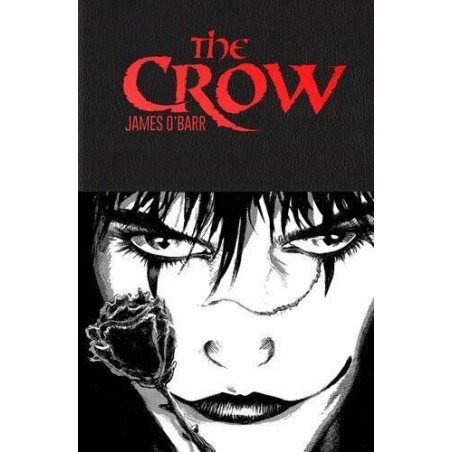 EL CUERVO ( THE CROW ) POR James O'Barr