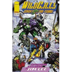WILDCATS Nº 0 , MAS 1º TOMO, MAS WILDCATS TRILOGY MAS VOL.1 COMPLETO Nº 1 AL 23 POR JIM LEE , BRANDON CHOI Y ALAN MOORE