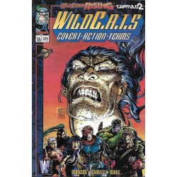 WILDCATS Nº 0 , MAS 1º TOMO, MAS WILDCATS TRILOGY MAS VOL.1 COMPLETO Nº 1 AL 23 POR JIM LEE , BRANDON CHOI Y ALAN MOORE