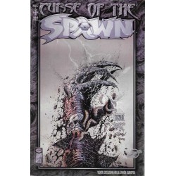 CURSE OF THE SPAWN COL.COMPLETA 1 AL 29 , A FALTA DE LOS NUMEROS : 24,26