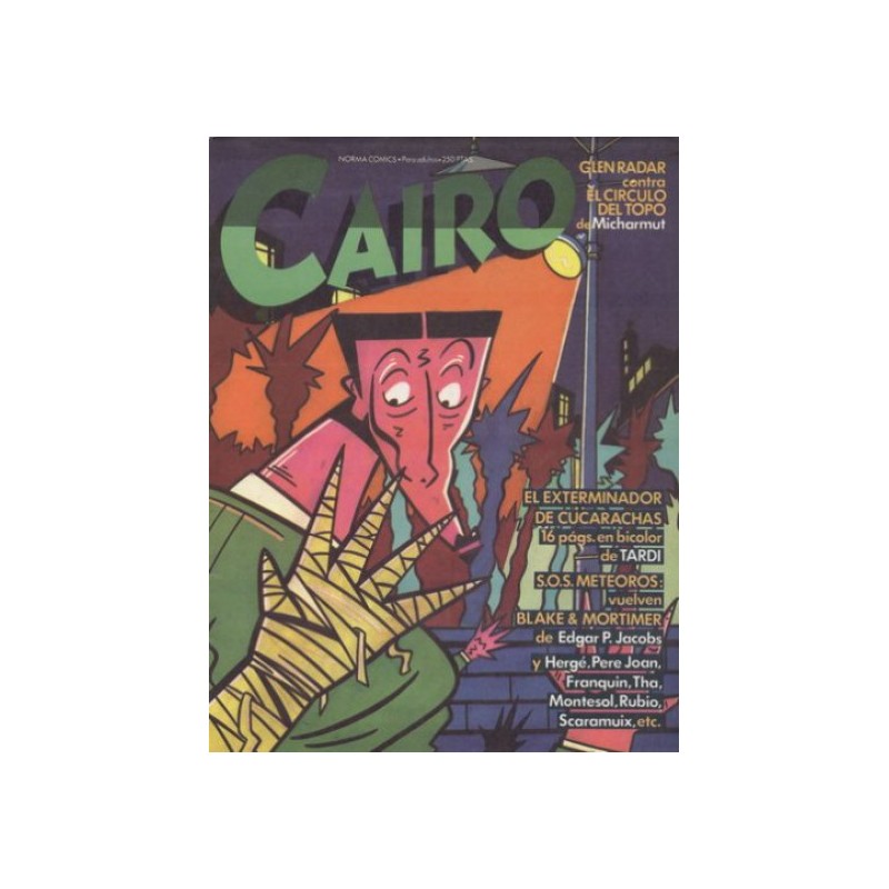 CAIRO Nº 19