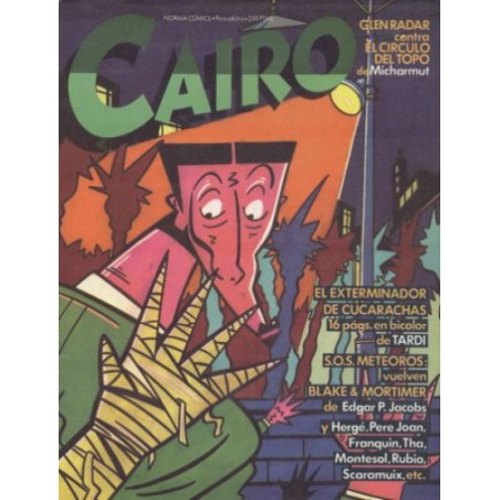 CAIRO Nº 19