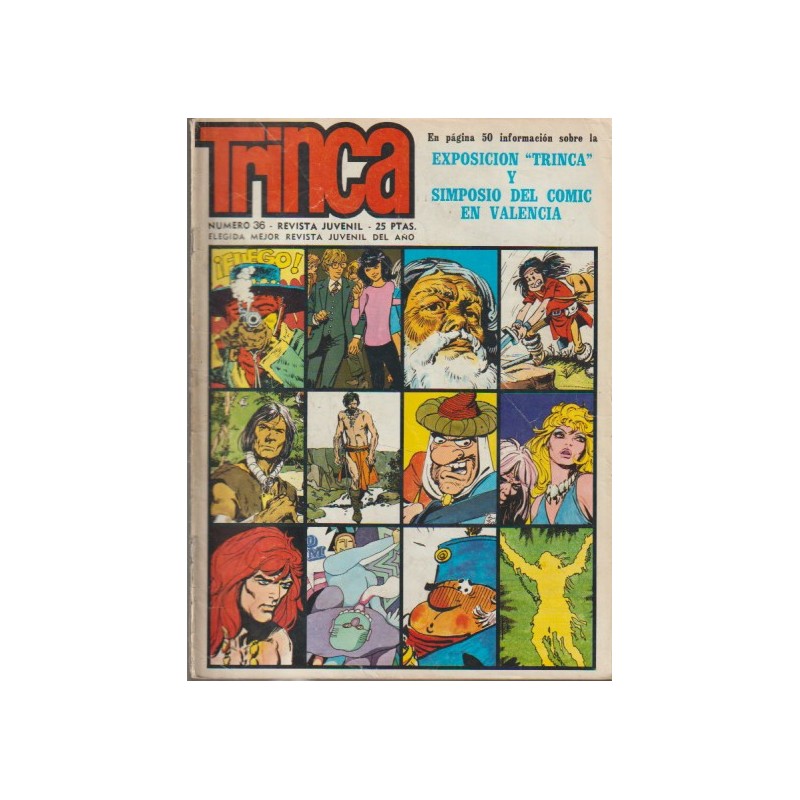 TRINCA Nº 36