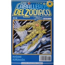 LOS CABALLEROS DEL ZODIACO...