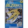 LOS CABALLEROS DEL ZODIACO COL.COMPLETA Nº 1 AL 83 , SAINT SEIYA
