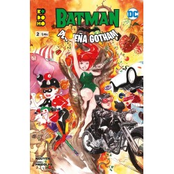 BATMAN PEQUEÑA GOTHAM Nº 1 AL 4