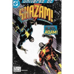 UNIVERSO DC Nº 12 Y 13...