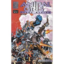 ANIBAL GRIS Nº 3 DE 3 LINEA...