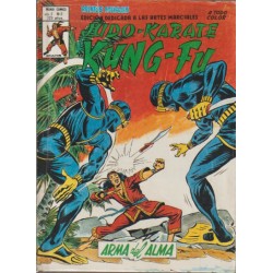 RELATOS SALVAJES ARTES MARCIALES VOL.2 SANG-CHI n. 1 Y 2