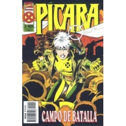 PICARA Nº 2 DE CAMPO DE...