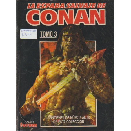 LA ESPADA SALVAJE DE CONAN VOL.2 NUMEROS 8 AL 10 EN UN RETAPADOI