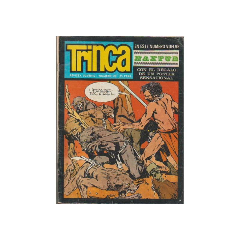 TRINCA Nº 25
