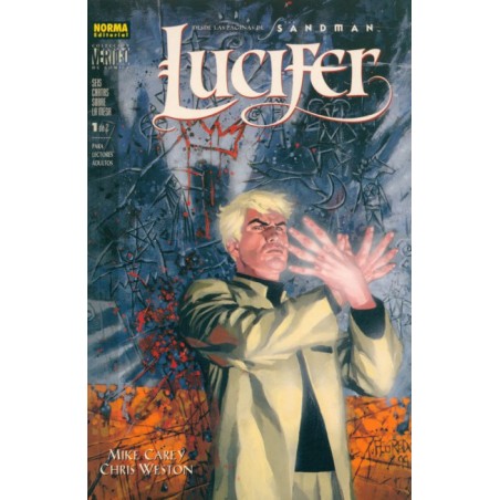 COL.VERTIGO Nº 175 LUCIFER SEIS CARTAS SOBRE LA MESA 1 DE 2 , NUMEROS 1 Y 2 USA