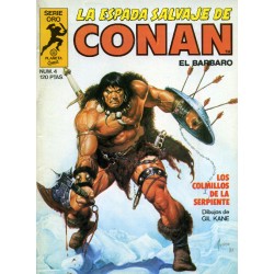 LA ESPADA SALVAJE DE CONAN...