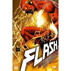 FLASH RENACIMIENTO