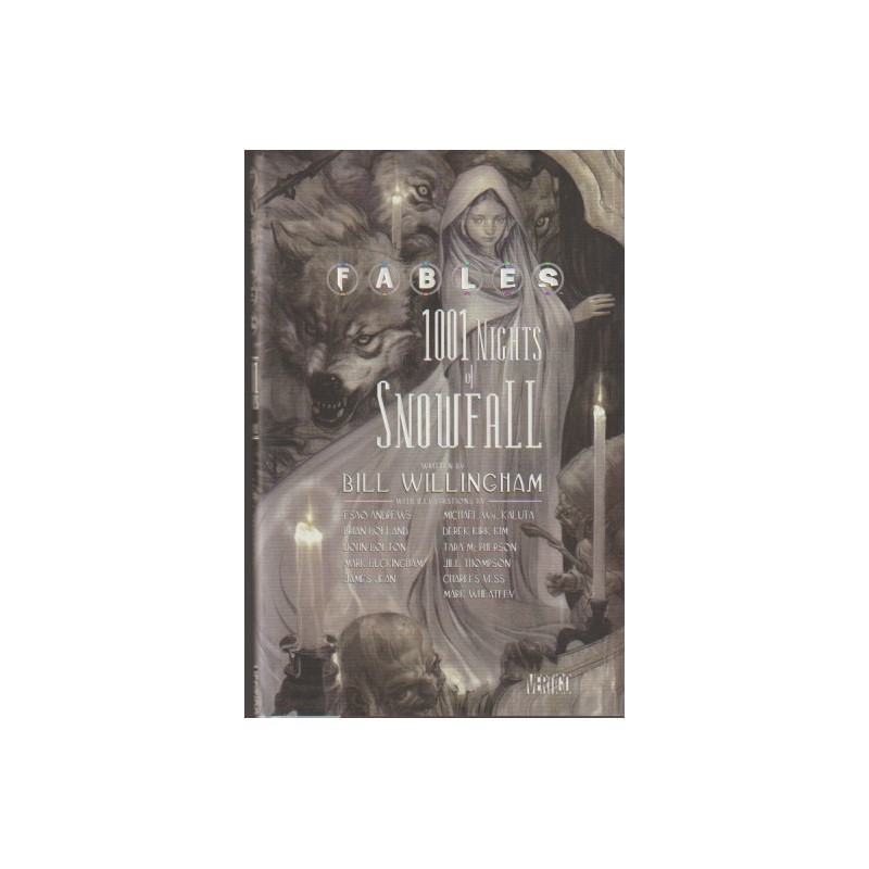 FABLES 1001 NIGHTS OF SNOWFALL ( FABULAS 1001 NOCHES DE NIEVE ) CARTONE CON SOBREPORTADA, VERTIGO / DC / INGLES