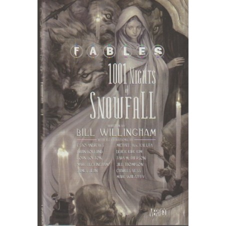 FABLES 1001 NIGHTS OF SNOWFALL ( FABULAS 1001 NOCHES DE NIEVE ) CARTONE CON SOBREPORTADA, VERTIGO / DC / INGLES