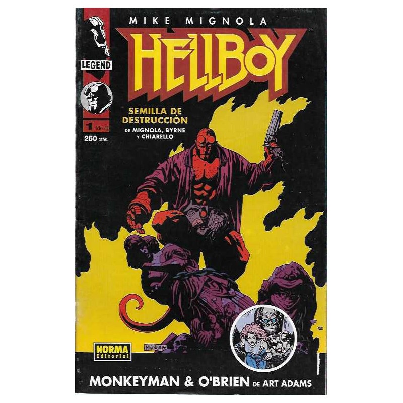 HELLBOY COMIC-BOOK - SEMILLA DE DESTRUCCION Nº 1 DE 4 mas MONKEY O`BRIEN DE ARTHUR ADAMS