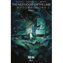 THE NICE HOUSE ON THE LAKE...