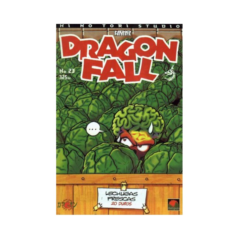 DRAGON FALL Nº 23